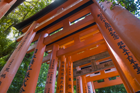 Fushimi Inari Shrine Torii in kyoto Japanのeditorial素材