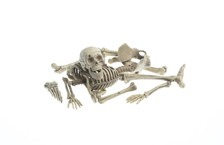 mini human skeleton model