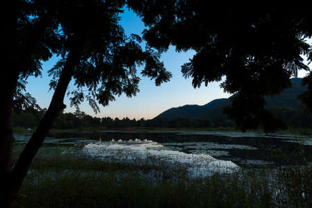 tropical forest water lakeの写真素材