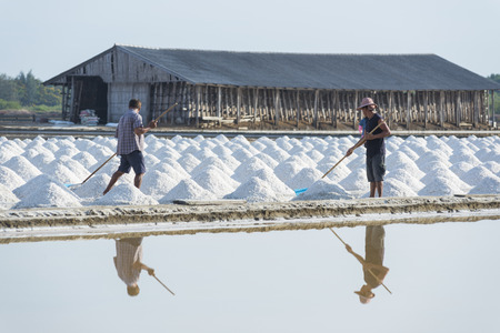 PETCHABURI- January 28 : Workers are helping to transport salt from salt. Ban Laem, Phetchaburi, Thailand on January 28, 2016のeditorial素材