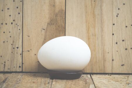 Easter eggs on wooden backgroundの写真素材