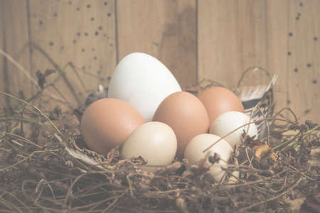 the picture art for easter festival, vintage filtered Imagesの写真素材