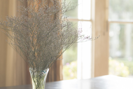 dry vintage flower in vase, vintage filtered Imagesの写真素材