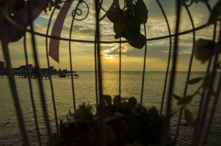 sea sunset with weddingの写真素材