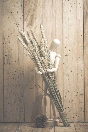 retro flower set of vintage style, image filter vintageの写真素材