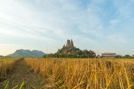 view of paddy field with Thai templeの写真素材