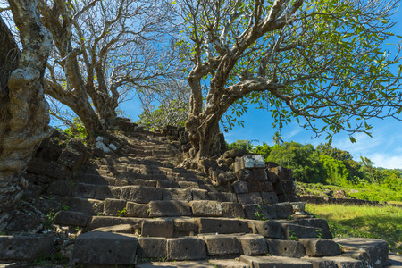 old tree in Laos Stone castleのeditorial素材