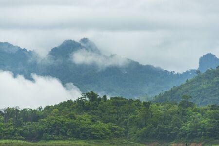 view of tropical forest, Thailand
