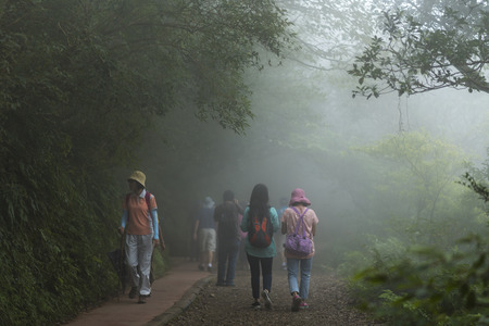 TAIPEI - 21 NOVEMBER: nature walk way in Yangmingshan National Park in Taipei, Taiwan on 21 November 2016のeditorial素材