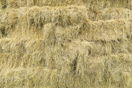 abstract background texture of strawの写真素材