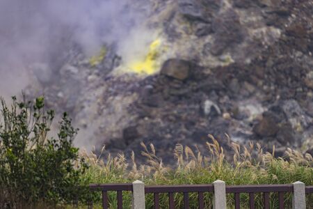 landscape of grassland at Yangmingshan National Park, Taiwanの写真素材