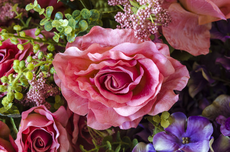 rose flower background for Valentine's Dayの写真素材