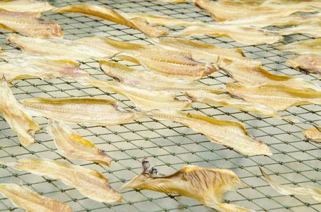Dried fish for the cooking.の写真素材