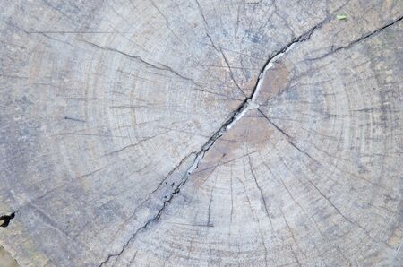 old wood texture background in vintage style
