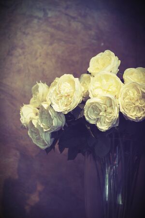 rose flower background for Valentine's Day, retro vintage filter imageの写真素材