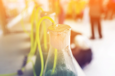 Laboratory Glassware algae research process in laboratory room, Science graphic filter imageの写真素材