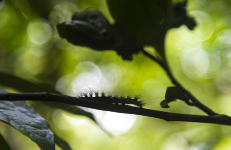 life in natureの写真素材