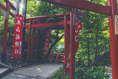 park view in Japanese temple, vintage filter imageの写真素材