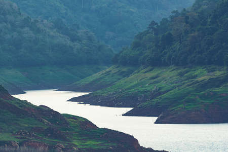 Nature view of tropical forest, Khao Yai National Park, Thailand, vintage filter imageの写真素材