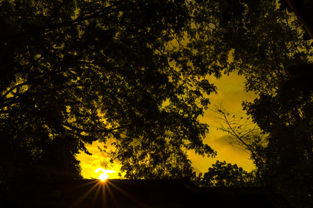 abstract nature sunset, vintage filter imageの写真素材