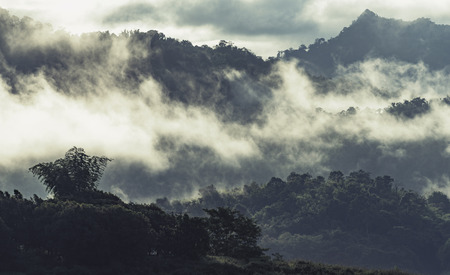 The landscape image of tropical forest in the natural world heritage site of Thailand.