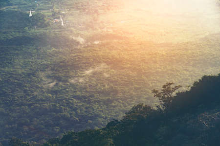 the tropical forest landscape in Thailand, morning time