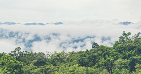 landscape view of nature scene, the western forest complex in Thailand, use for background and...