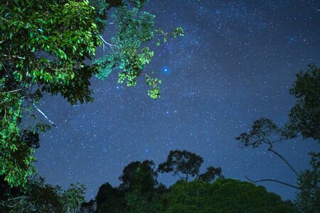 stars with blue skyの写真素材