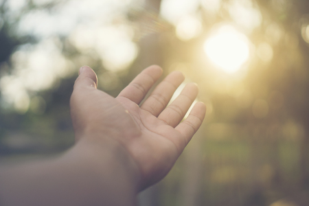 abstract picture of nature hand with sunlightの写真素材