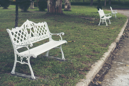 white chair in gardenの写真素材
