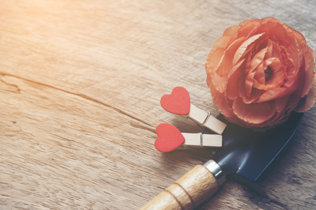 Valentine love concept with rose flowerの写真素材