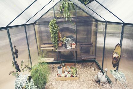 cactus house outdoor