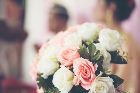 rose flowerの写真素材