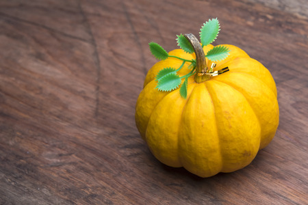 Giants pumpkin on wooden backgroundの写真素材