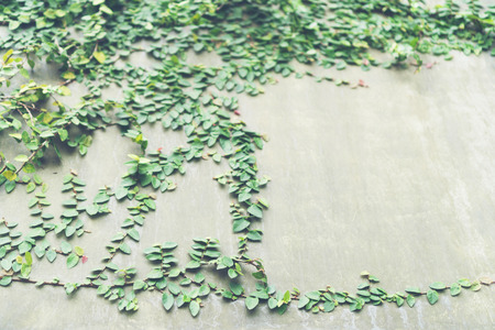 decoration living room interior style green eco environmental with plant nad treeの写真素材