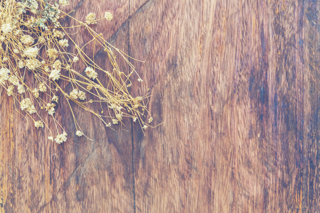 Summer colorful flowers on vintage wooden backgroundの写真素材