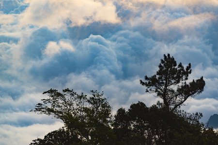 Beautiful nature sunset landscape. Ears of golden wheat close up. Rural scene under sunlight. Summer background of ripening ears of agriculture landscape. Natur harvest. Wheat field natural product.の写真素材