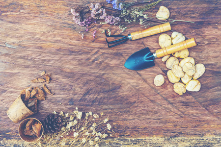 Summer colorful flowers on vintage wooden background