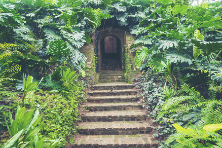 Tree-lined brick path through the forest at Fort Canning Park, one of Singapore's public green spaces.のeditorial素材