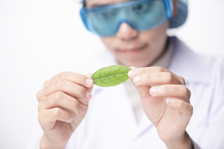 Scientists Looking At Sample Of Plant Working In Genetics Laboratory, Mix Race Couple Of Researchers Analyzing Result Of Experiment In Labの写真素材