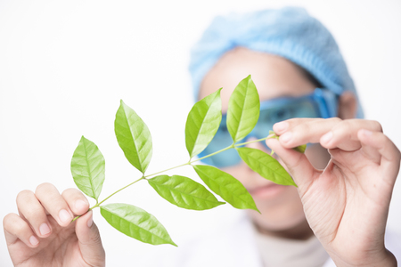 doctor woman scientist making herbal medicine in lab with herb leaves vitamin supplements mineral alternative treatment research.の写真素材