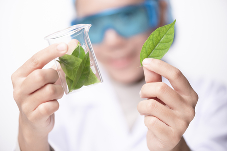 Young biotechnology scientist chemist working in labの写真素材
