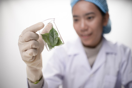 doctor woman scientist making herbal medicine in lab with herb leavesの写真素材