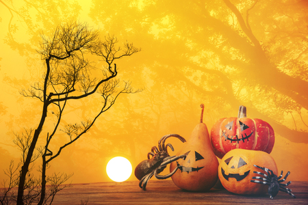 Halloween concept, yellow tone with pumpkinsの写真素材