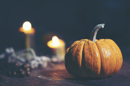art picture of Halloween concept, dark vintage, copy space for useの写真素材