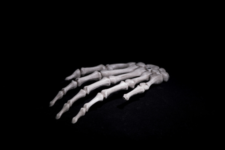 Halloween concept object isolated on black background