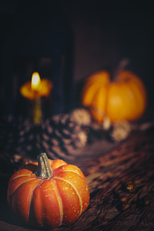 Halloween concept picture with pumpkin, vintage filter imageの写真素材