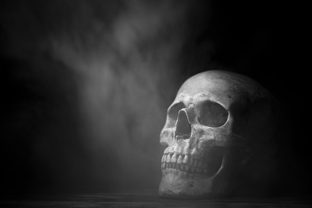 art of Human skull, Halloween conceptの写真素材