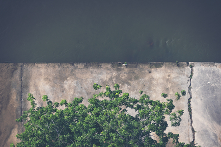 green Shrub tree with spaceの写真素材