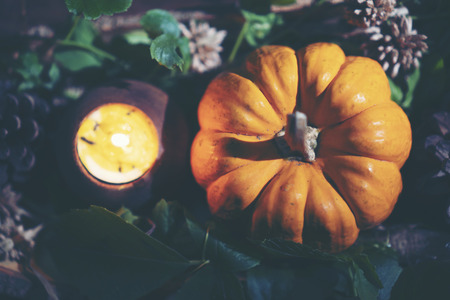 Halloween pumpkins, art picture for Halloween conceptの写真素材